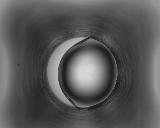 X0000086750744200704201725