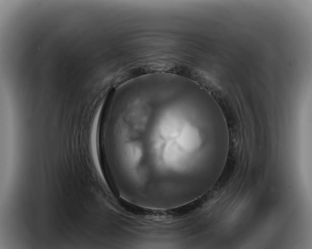 X0000086750745200704201725