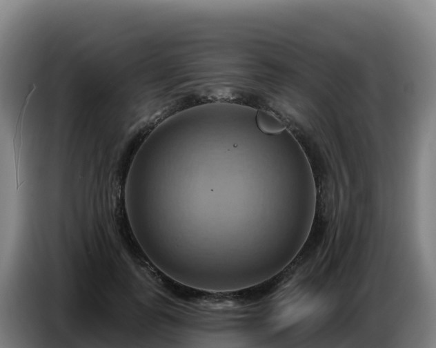 X0000086750747200704201725