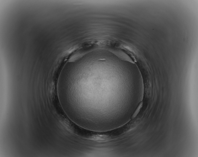 X0000086750748200704201725
