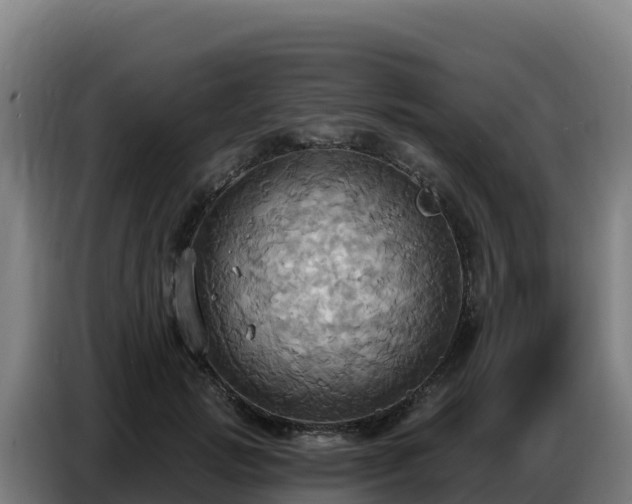 X0000086750749200704201725