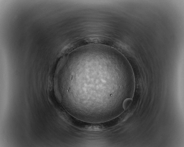 X0000086750751200704201725