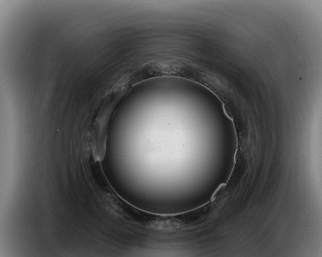 X0000086750752200704201725