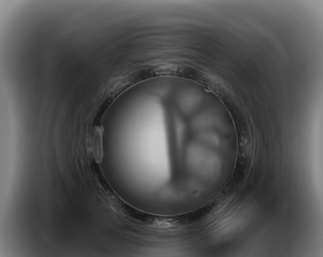 X0000086750753200704201725
