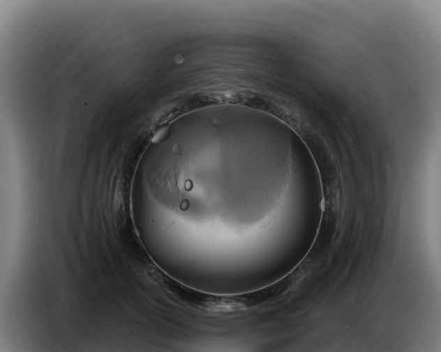 X0000086750754200704201725