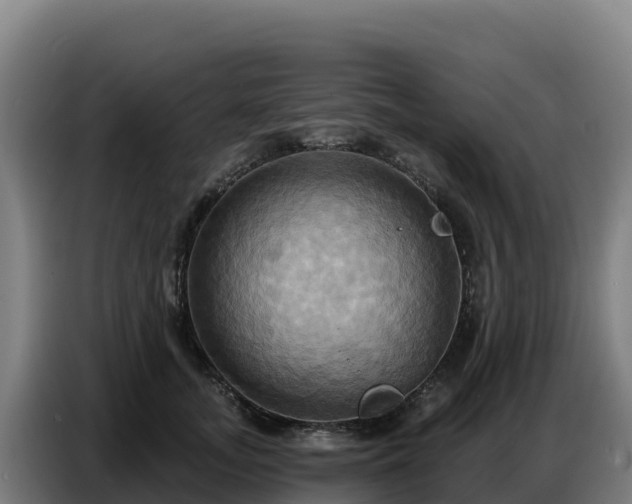 X0000086750755200704201725