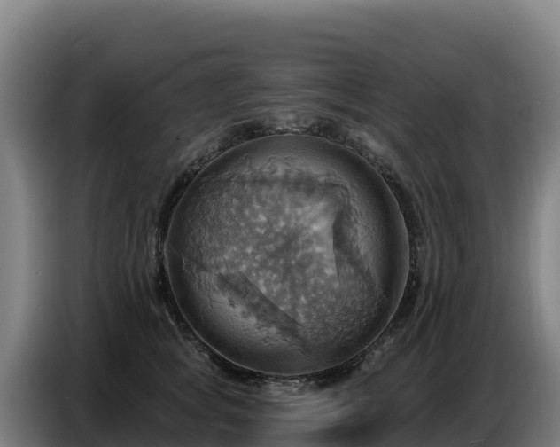 X0000086750757200704201725
