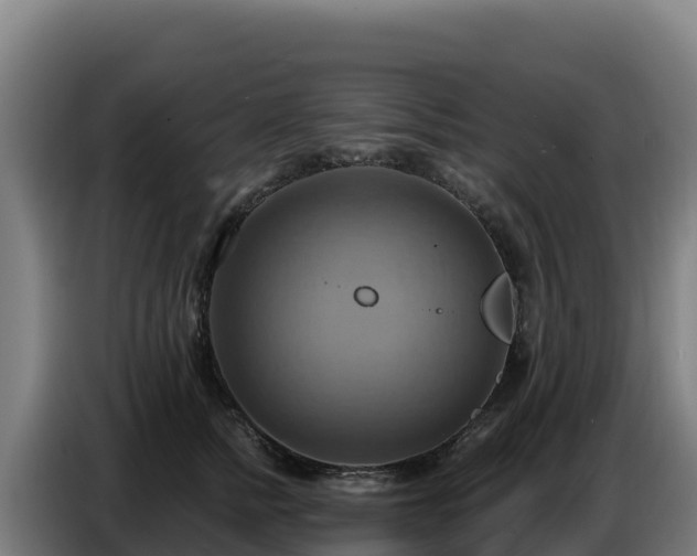 X0000086750758200704201725