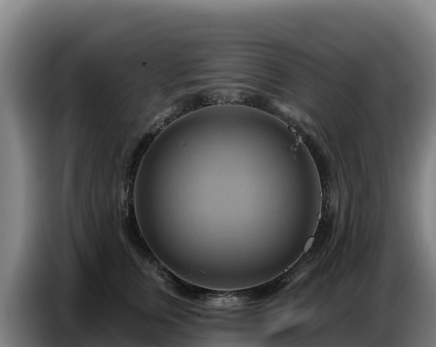 X0000086750759200704201725