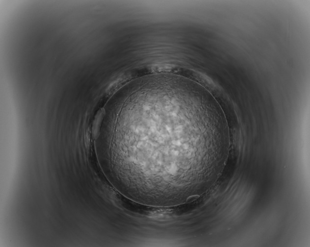X0000086750761200704201725