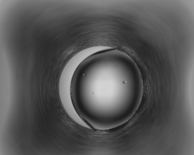 X0000086750762200704201725