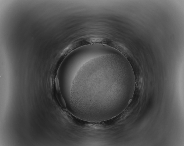 X0000086750763200704201725