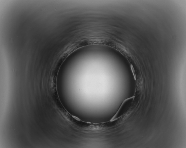 X0000086750764200704201725