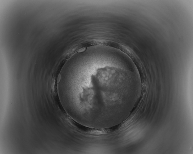X0000086750765200704201725