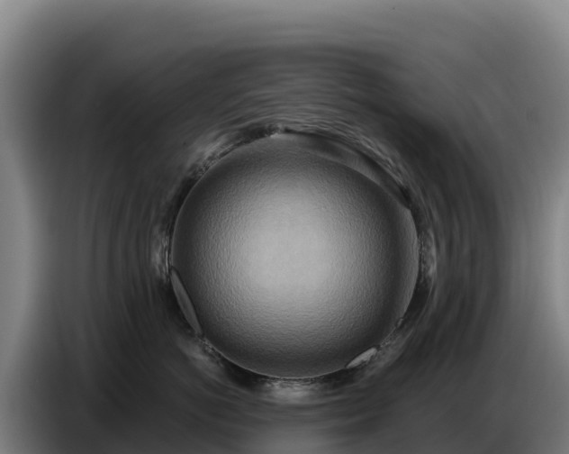 X0000086750766200704201725