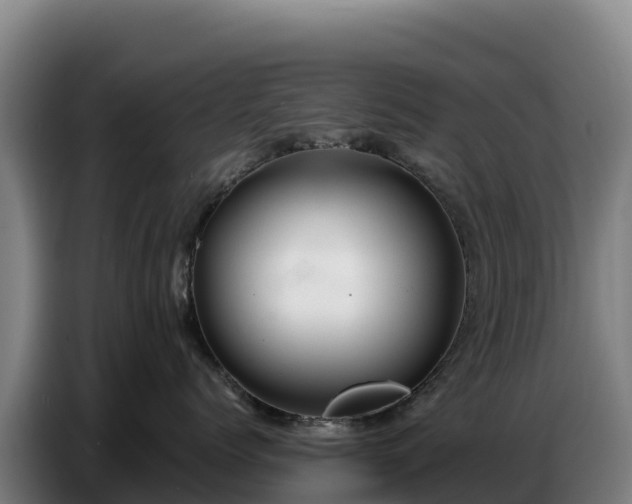 X0000086750768200704201725