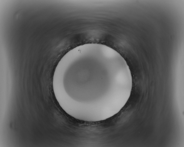 X0000086750769200704201724
