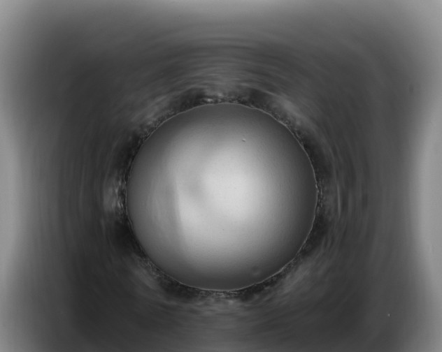 X0000086750770200704201724