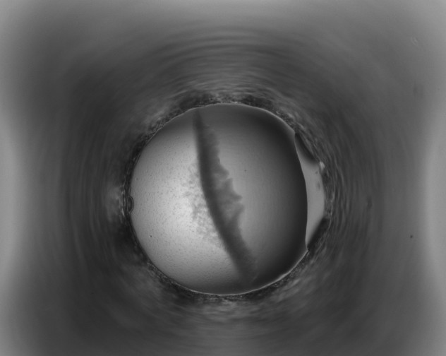 X0000086750772200704201724