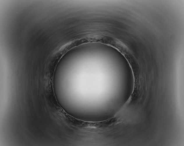 X0000086750773200704201724