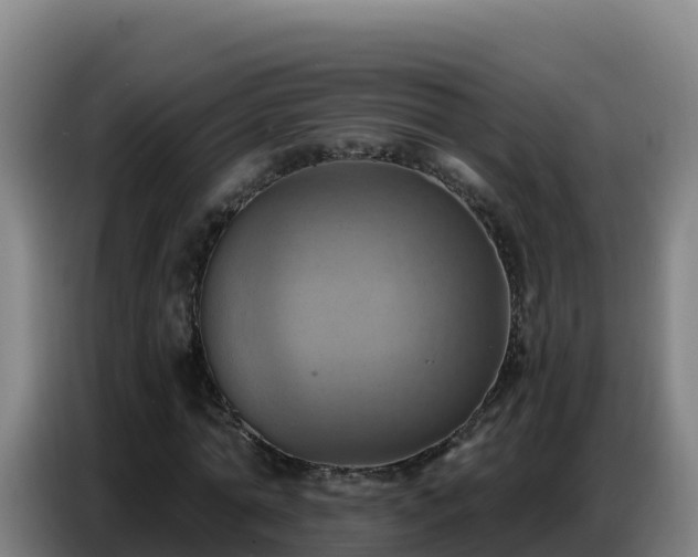 X0000086750774200704201724