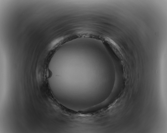 X0000086750775200704201724