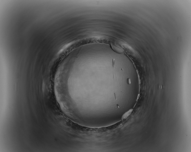 X0000086750776200704201724