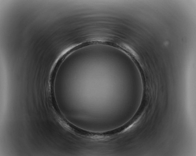 X0000086750779200704201724