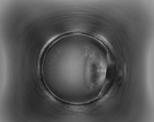 X0000086750780200704201724