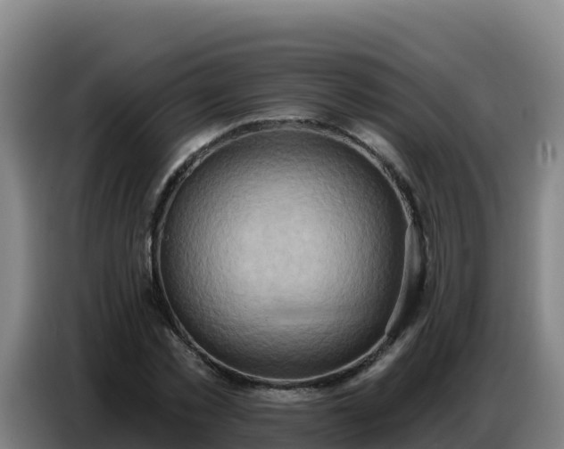 X0000086750781200704201724