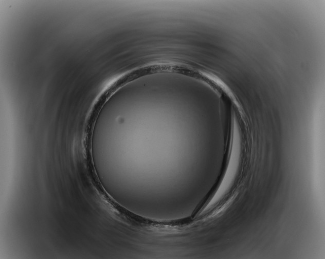X0000086750783200704201724