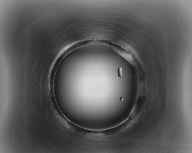 X0000086750784200704201724