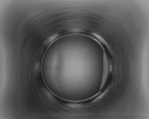X0000086750785200704201724