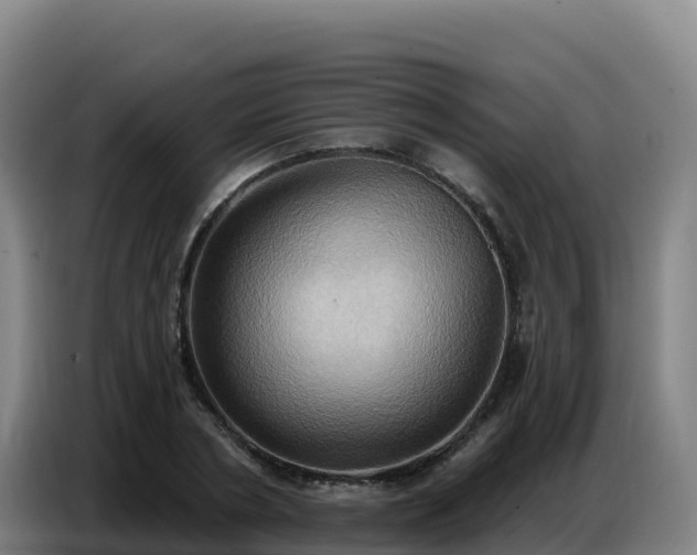 X0000086750786200704201724