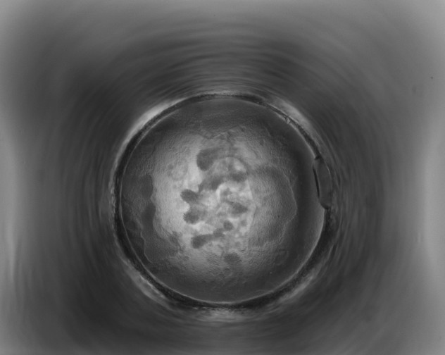 X0000086750787200704201724