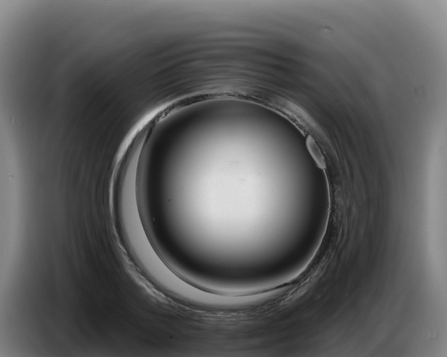 X0000086750788200704201724
