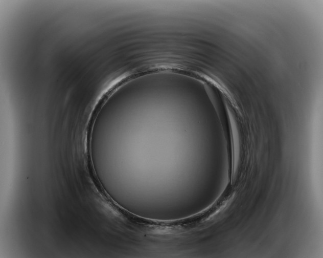 X0000086750790200704201724