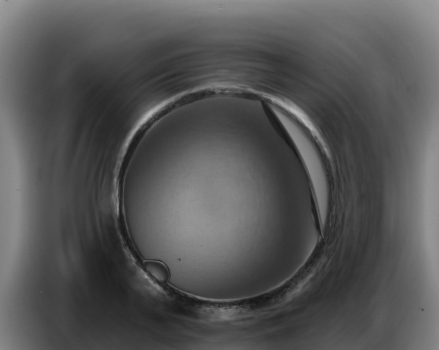 X0000086750791200704201724