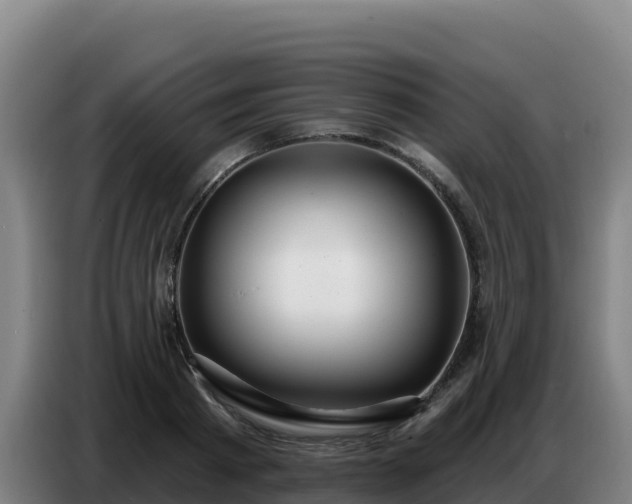 X0000086750793200704201724