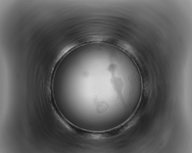X0000086750794200704201724