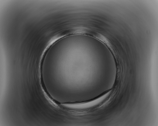 X0000086750795200704201724