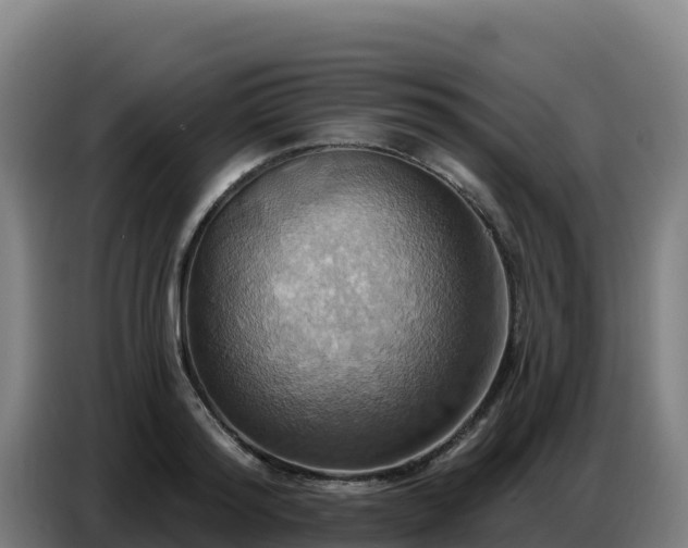 X0000086750796200704201724