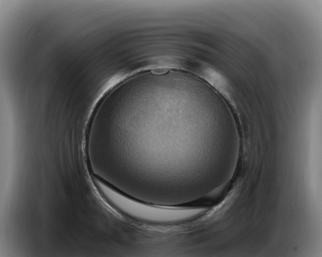X0000086750797200704201724