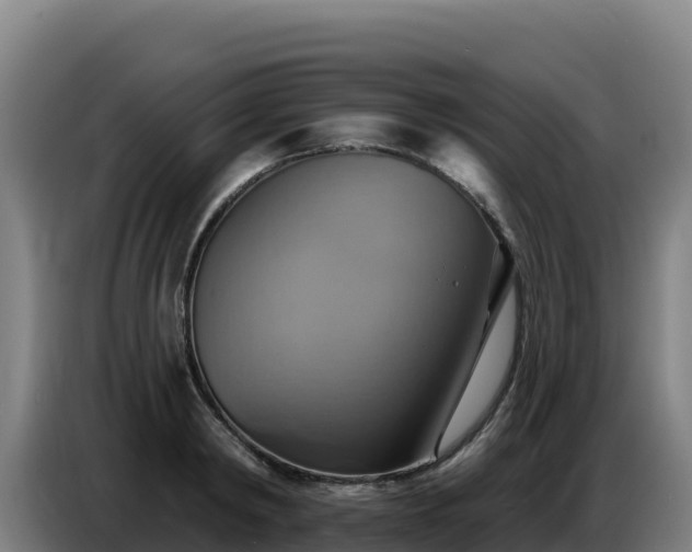 X0000086750798200704201724