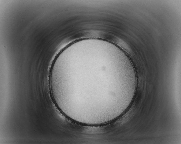 X0000086750800200704201724