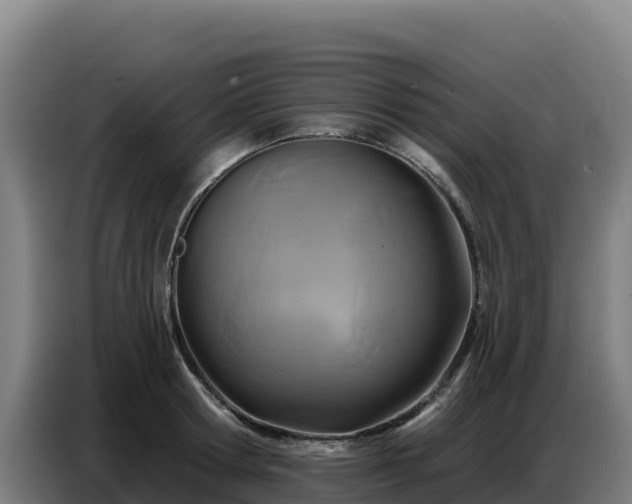 X0000086750802200704201724