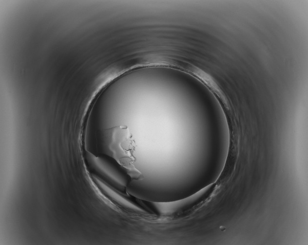 X0000086750805200704201724