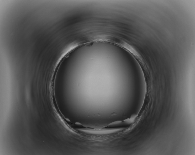 X0000086750806200704201724