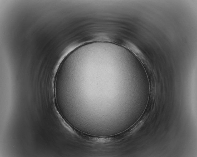X0000086750808200704201724