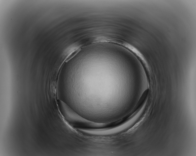 X0000086750809200704201724